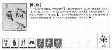 杂部首是什么偏旁