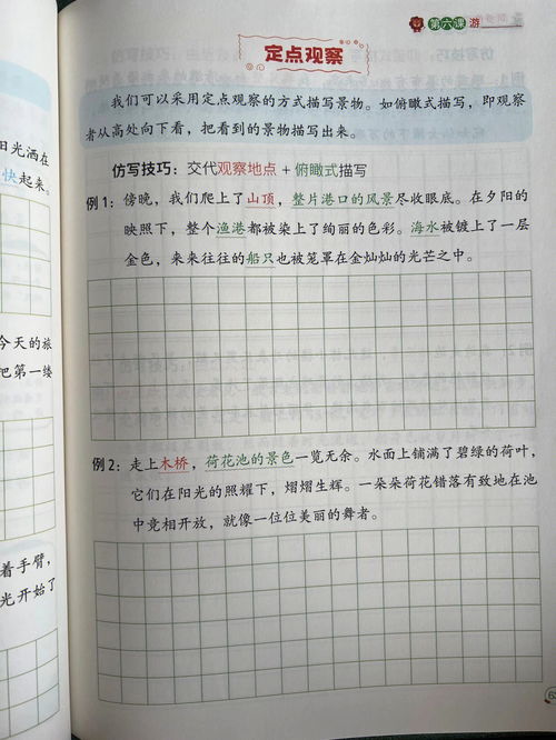 四年级下册语文第五单元作文600字