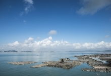 漳浦天气适合种樱桃吗