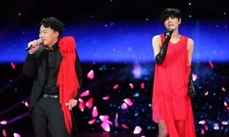 春晚王菲和那英唱的那首歌叫什么