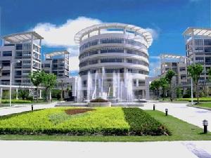 上海大学美术学院在哪个校区