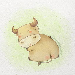 属字是什么意思?