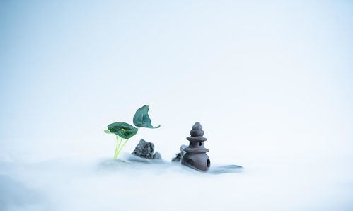 触目伤怀的意思解释一下，茅塞顿开的意思