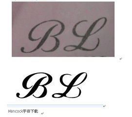 尾巴的英文单词，嘴巴的英文单词