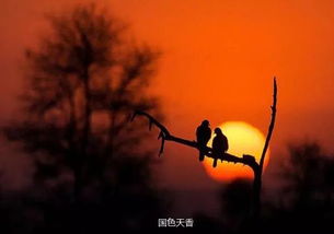 慢慢地陪着你走剧情介绍