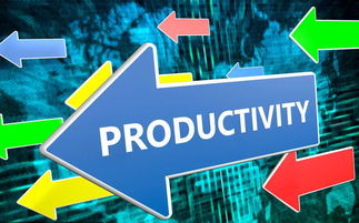 work force是什么意思