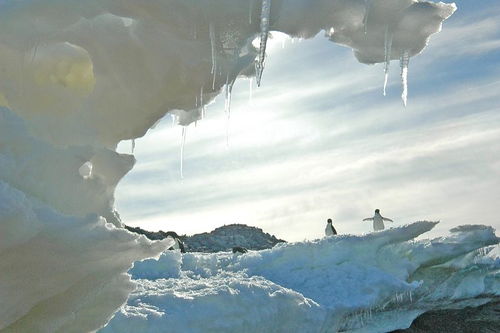 antucomountain怎么读，with怎么读