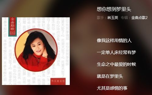 想你想到梦里头,这个是哪首歌里的歌词?谁唱的?