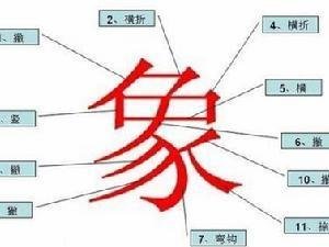 雪笔顺笔画，象笔顺是什么