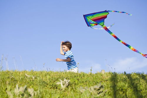 放风筝的英语短语怎么写，放风筝的英语怎么说过去式