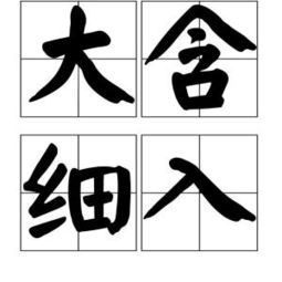 什么什么什么入成语