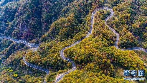 平顶山鲁山县事业单位招聘信息，平顶山鲁山县有哪些乡镇