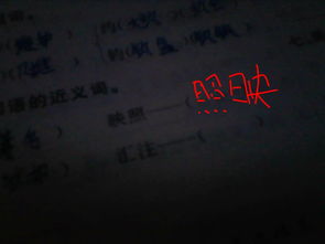 照耀近义词是什么