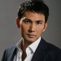 黎美娴 方中信,林文龙电视剧，林文龙电视剧大全龙的天空