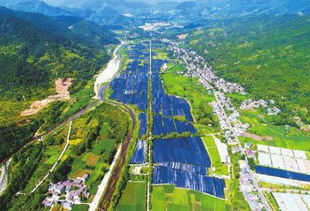 青川县天气预报15天查询，青川县天气预报30天