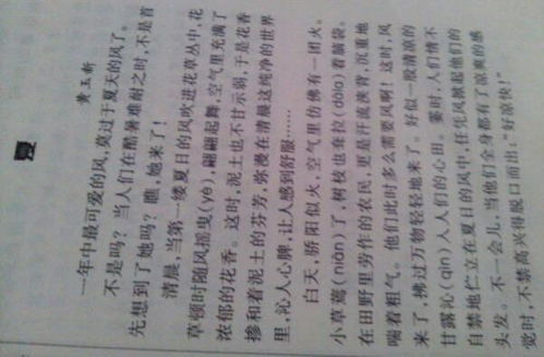 写景的作文300字四年级下册，写景的作文300字简单的