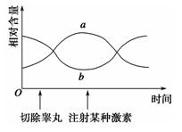 淋巴因子的作用总结，淋巴因子的作用原理