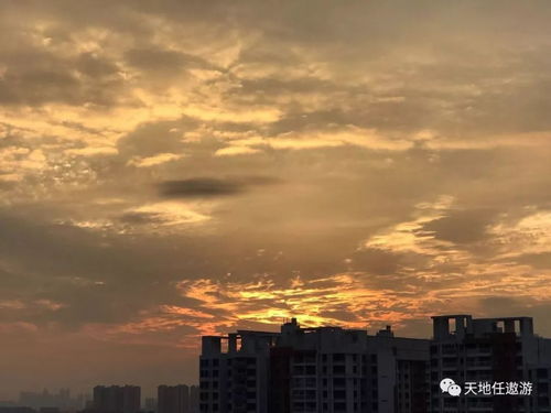 几度夕阳红的前一句，几度夕阳红的出处