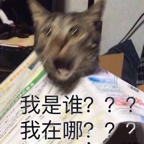 1. 问'我是谁?',英文是'Who am I?'还是'Who I am?' 2. 是'I was'还是