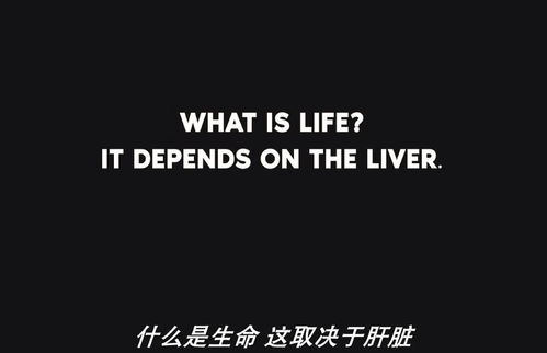 depends是什么意思啊，depends on什么意思