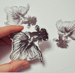 小米手机浏览器如何查看网页源代码