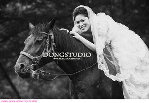 horses，hore是什么意思英语