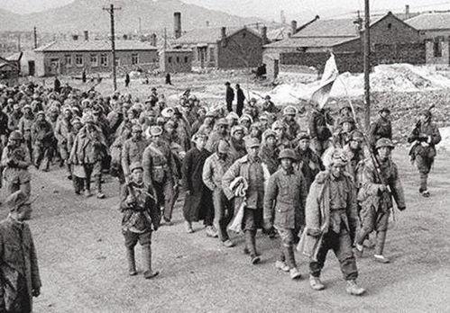 东北解放战争纪实TXT下载，东北解放战争纪实pdf