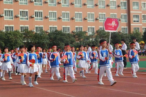 初中有几门学科?