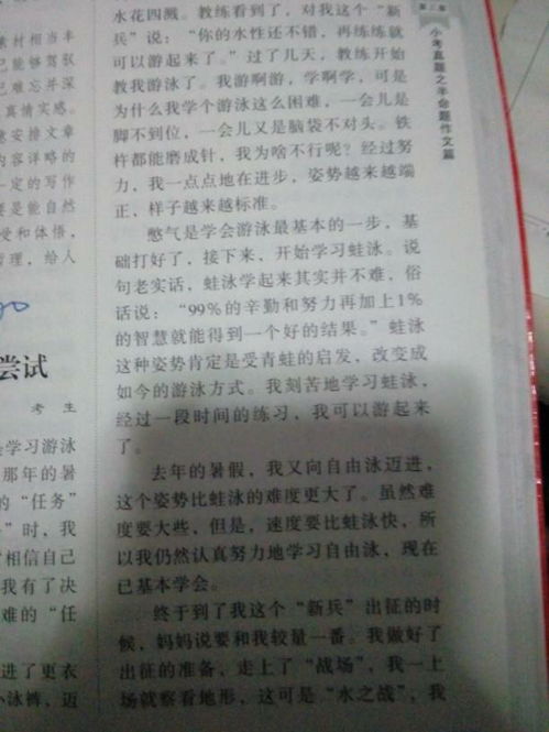 我成功了作文