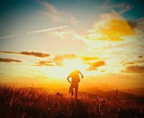 《尼尔斯骑鹅旅行记》预言解读?