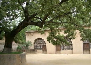 枣园村落遗址位于哪里