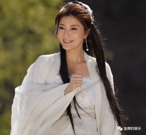 杨丽菁的个人资料