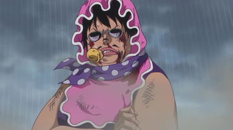 两年后弗兰奇有什么变化?有什么武器?