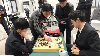 分庭抗礼造句怎么造，分庭抗礼的误用