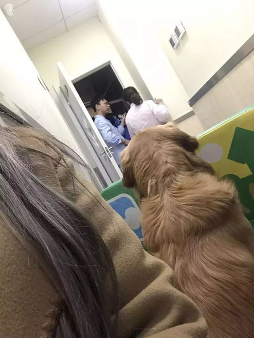 吔吔吔是什么意思，吔是什么意思解释