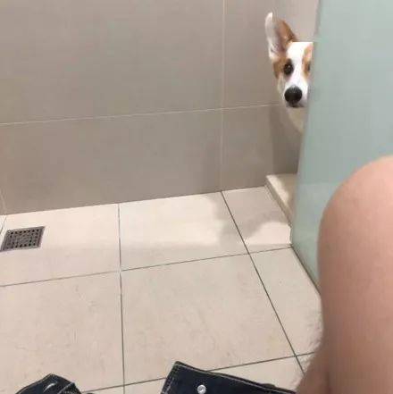 贼头贼脑的意思解释