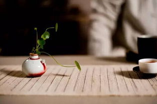 什么叫人走茶凉,什么是物是人非。