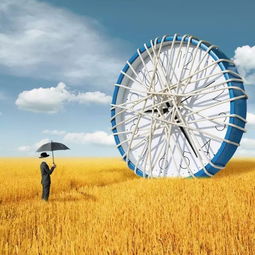 同是天涯沦落人,相逢何必曾相识。出自哪里?全诗是怎样?