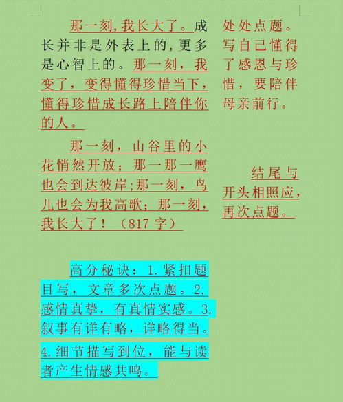 关于我长大了的作文范文精选5篇