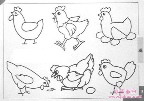鸡简笔画怎么画
