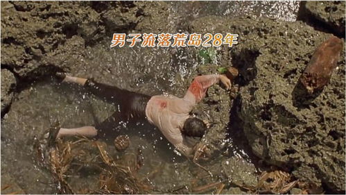 流落荒岛小说免费阅读，流落荒岛我的人生开挂了小说在线观看