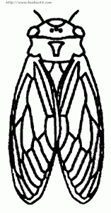 知了怎么画简单又好看