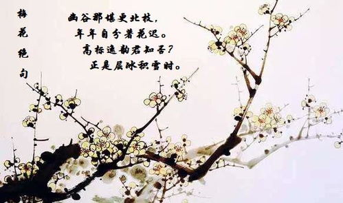 赞美梅花的品格的成语，形容梅花高雅的诗句