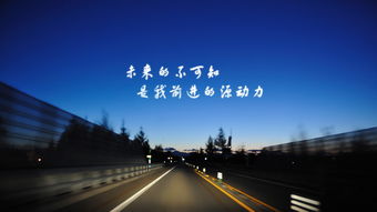《我的中国心》歌词