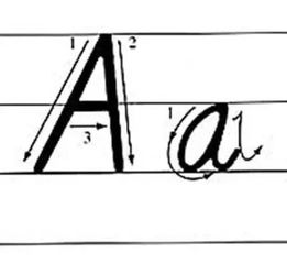 向左转的英语怎么写?