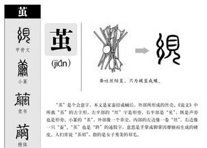茧的拼音怎么读音写的呀，茧绸的拼音