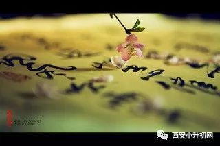 致虚守静的意思是什么