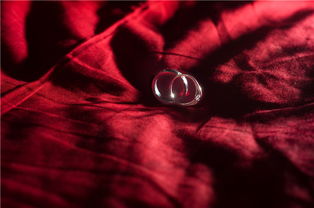 truelove怎么读，truelove香水多少钱