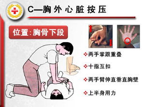 医护急救知识(2)