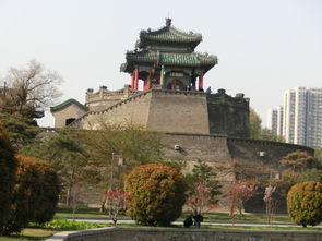 丛台公园有什么景点